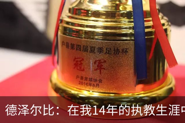 德泽尔比：在我14年的执教生涯中，从未见过像热刺这样的球队